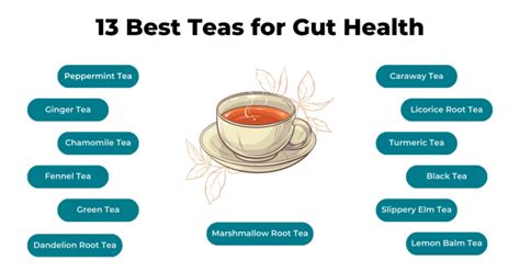 Best Tea For Gut Health