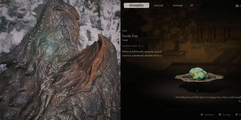 Black Myth Turtle Island Health Pill