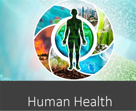 Dumaguete Pi Healthcare