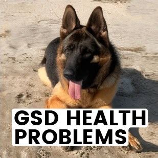 Gsd Health Problems