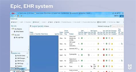 The Lws Record In Epic Healthcare