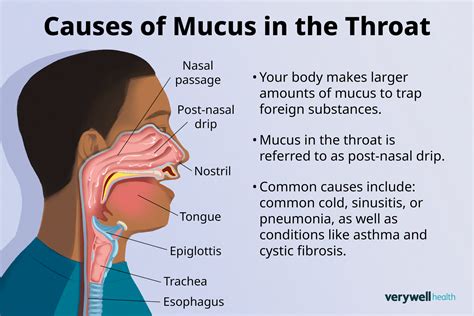 Throat Mucus Health